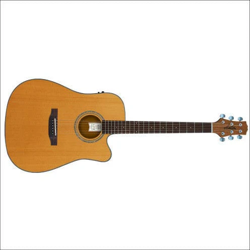 Ashton D59SCEQ Acoustic / Electric Guitar With EQ and Built-In Tuner - Image 2