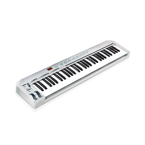 Ashton UMK61 61-Key Midi Keyboard