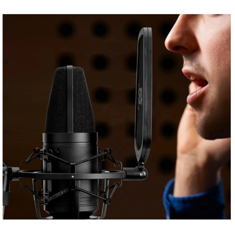Boya BY-M800 Large Cardioid Diaphragm Condenser Microphone - Image 5
