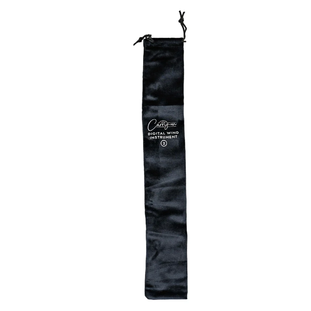 Carry-on DWI2 Digital Wind Instrument - Image 7