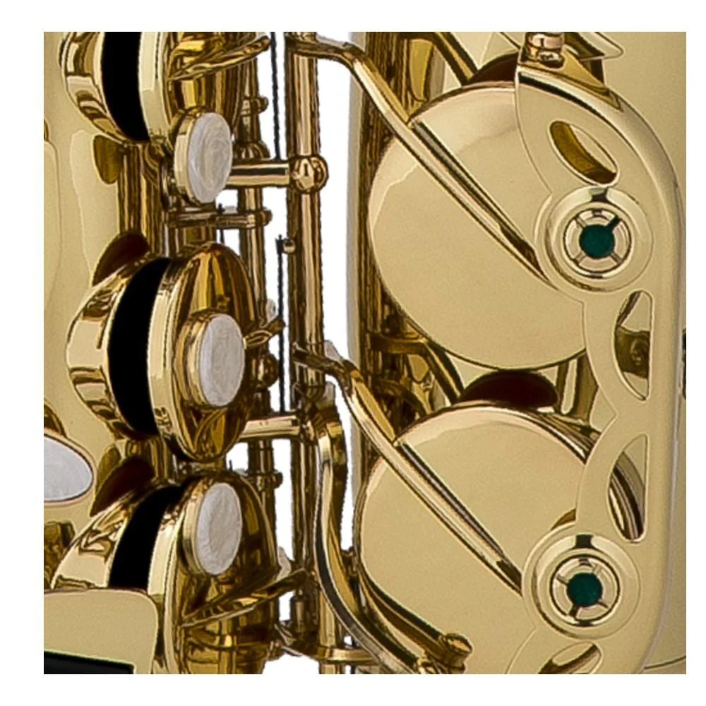 Chateau Alto Saxophone CAS-21 CVL - Image 2