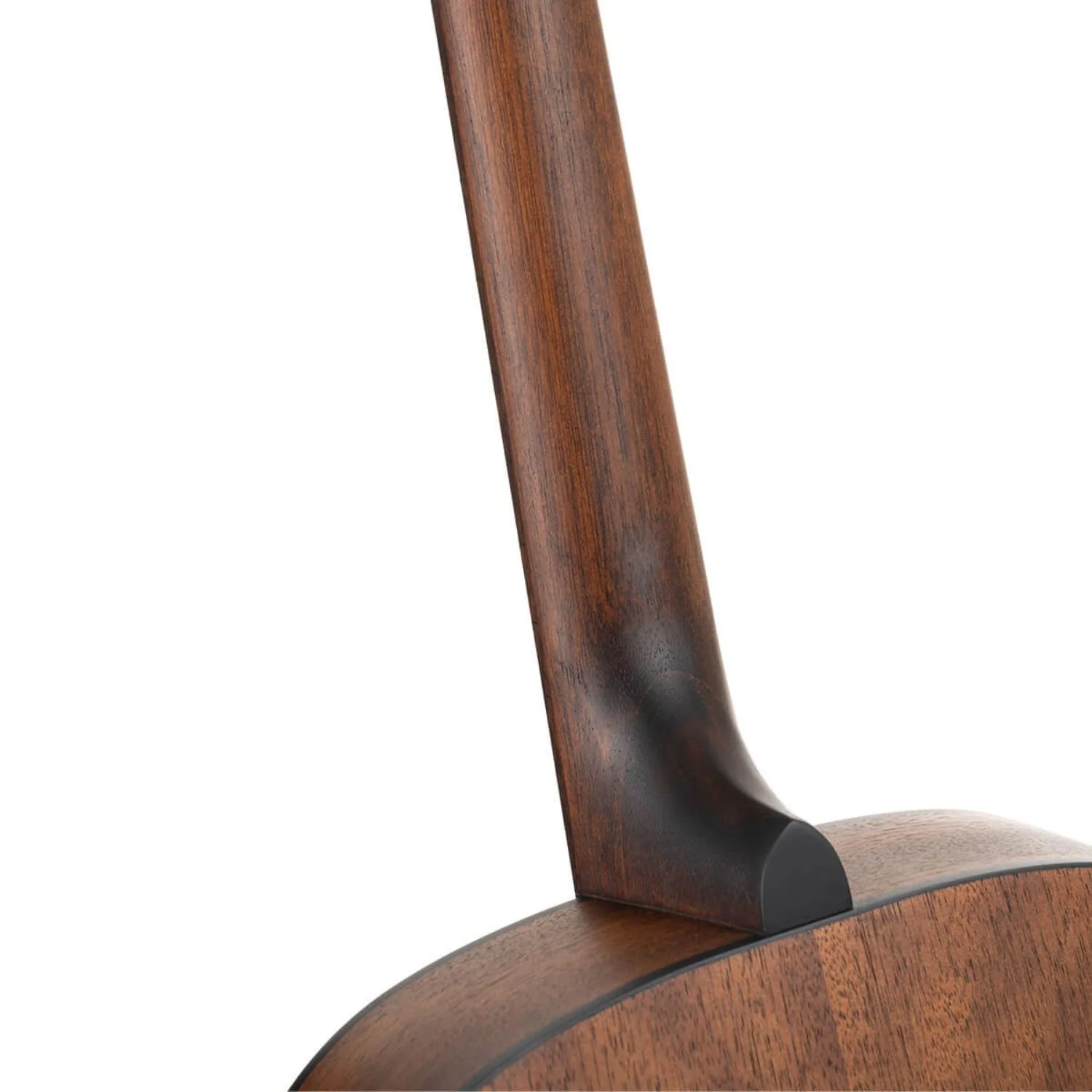 Cort Arium Series 6 String Acoustic Guitar - Image 6
