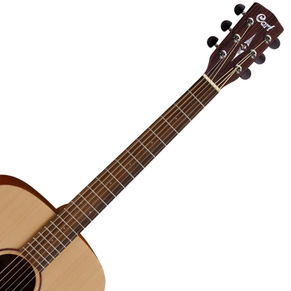 Cort Earth Grand Electro Acoustic Guitar with Fishman Transducer - Image 3