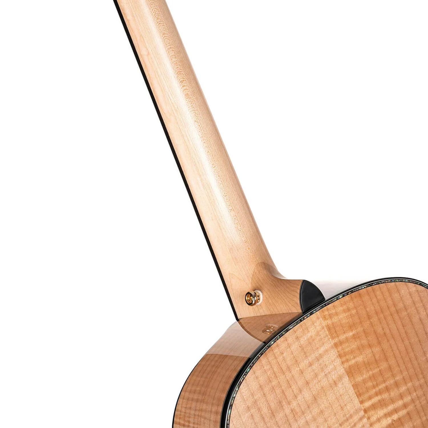 Cort Gold-Passion 6 String Electro Acoustic Guitar with Case - Natural Glossy - Image 8