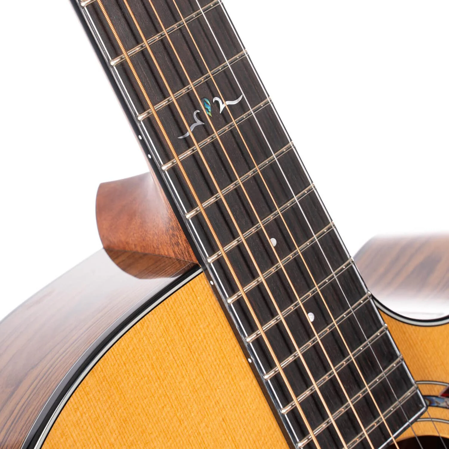 Cort GOLD Series A6 Bocote Electro Acoustic Guitar - Image 3