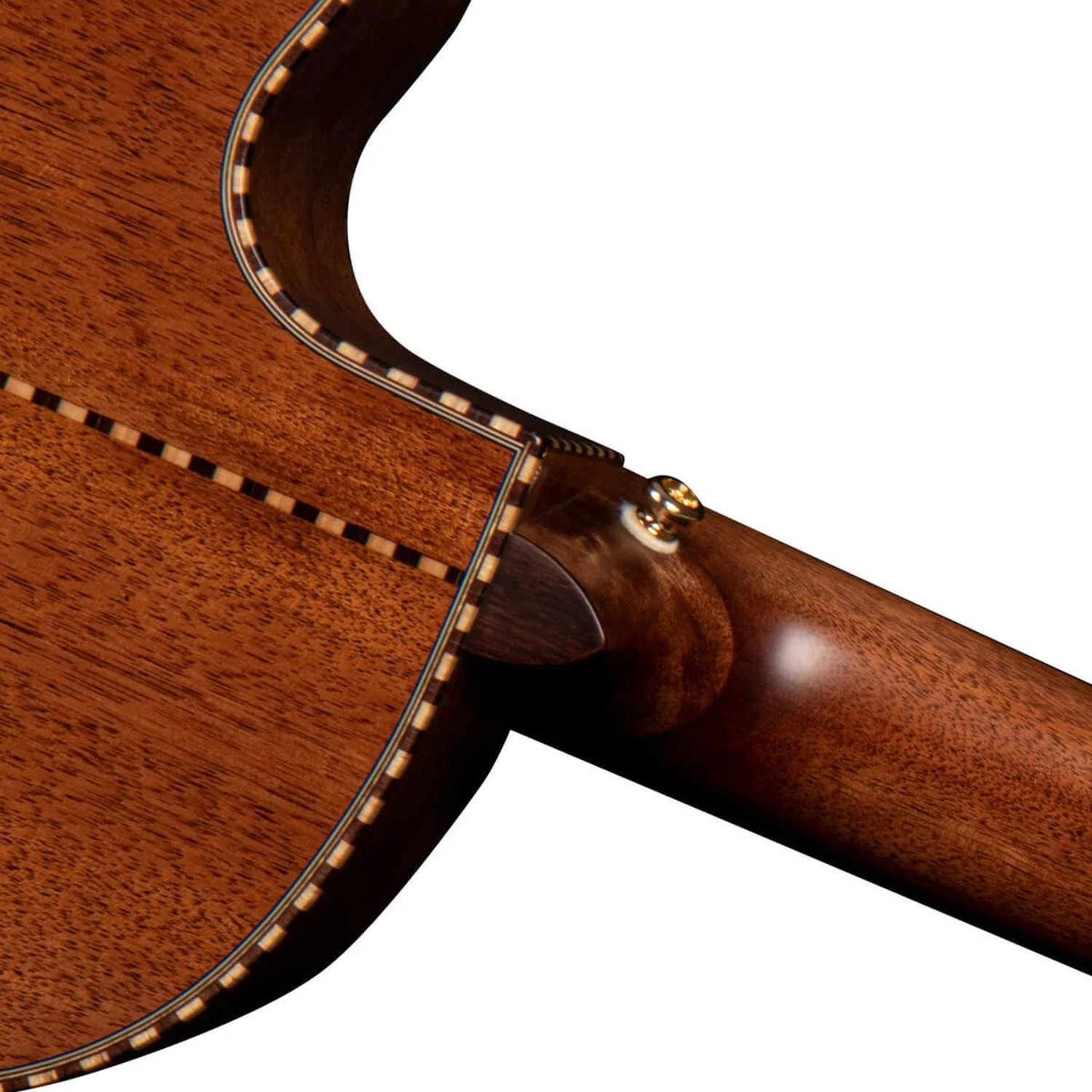 Cort Sol Encanto 6 String Semi Acoustic Guitar with Case - Image 8