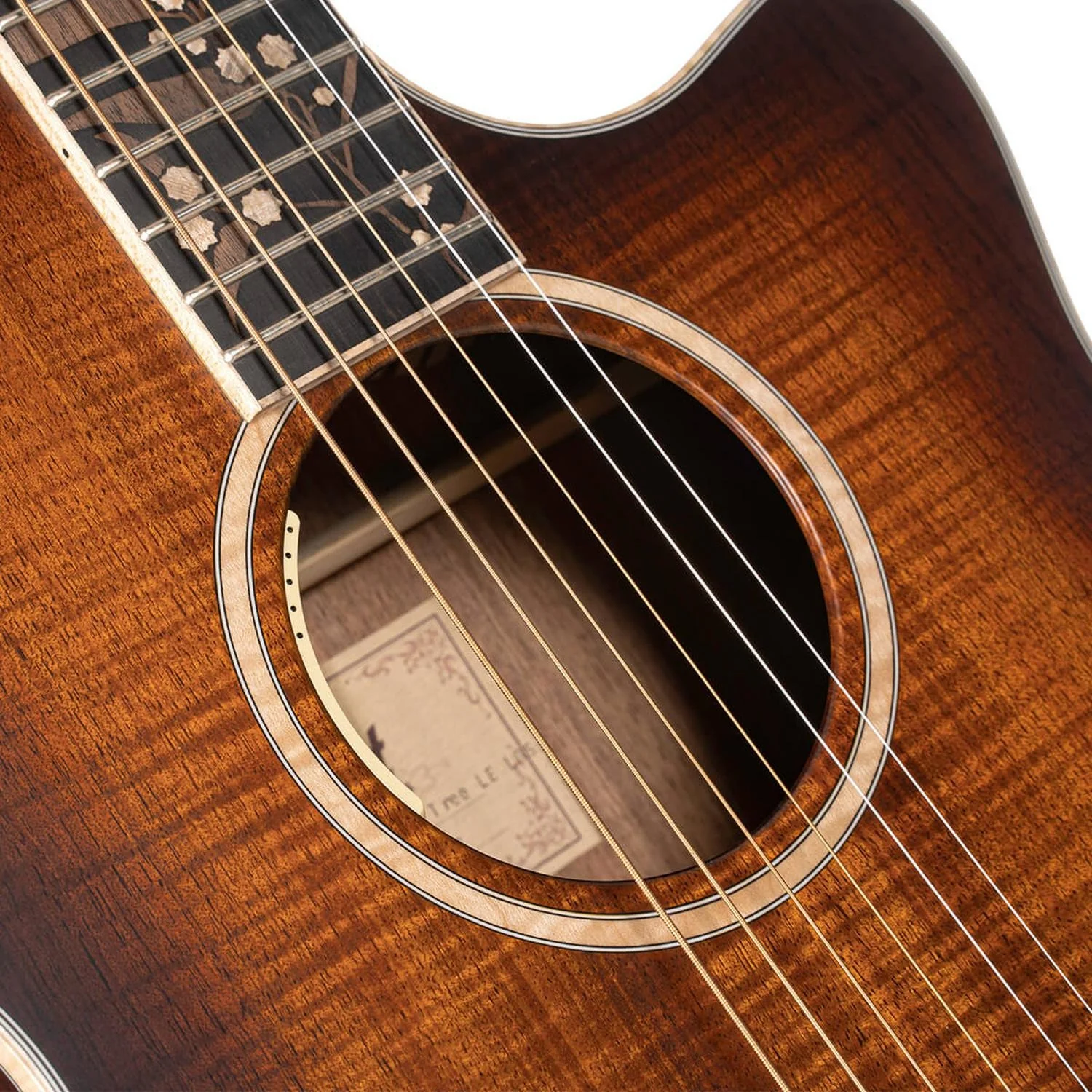 Cort The Black Tree Limited Edition Electro Acoustic Guitar - Image 7