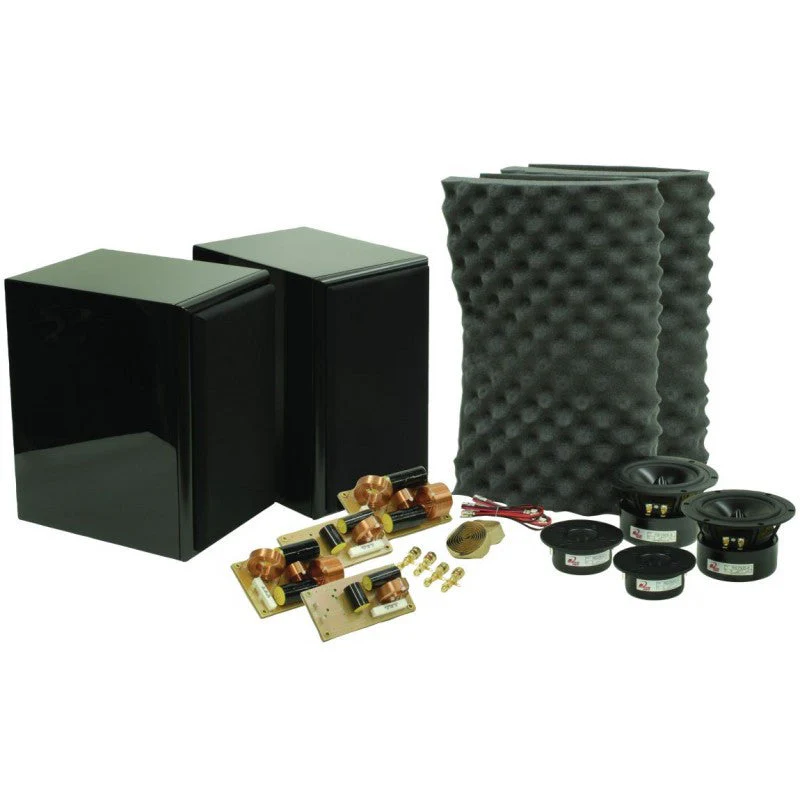 Dayton Audio RS621BK Speaker Kit Pair Gloss Black - Garage Sale