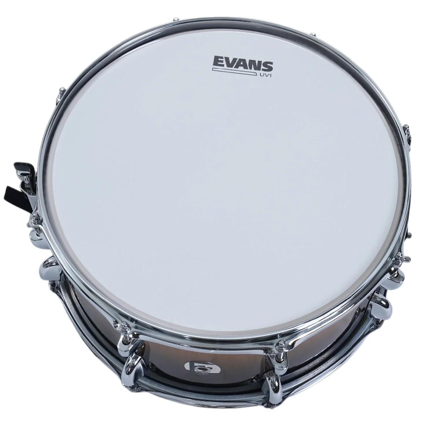 Dixon Fuse 5 Piece Maple Gloss Acoustic Drum Kit - Image 15