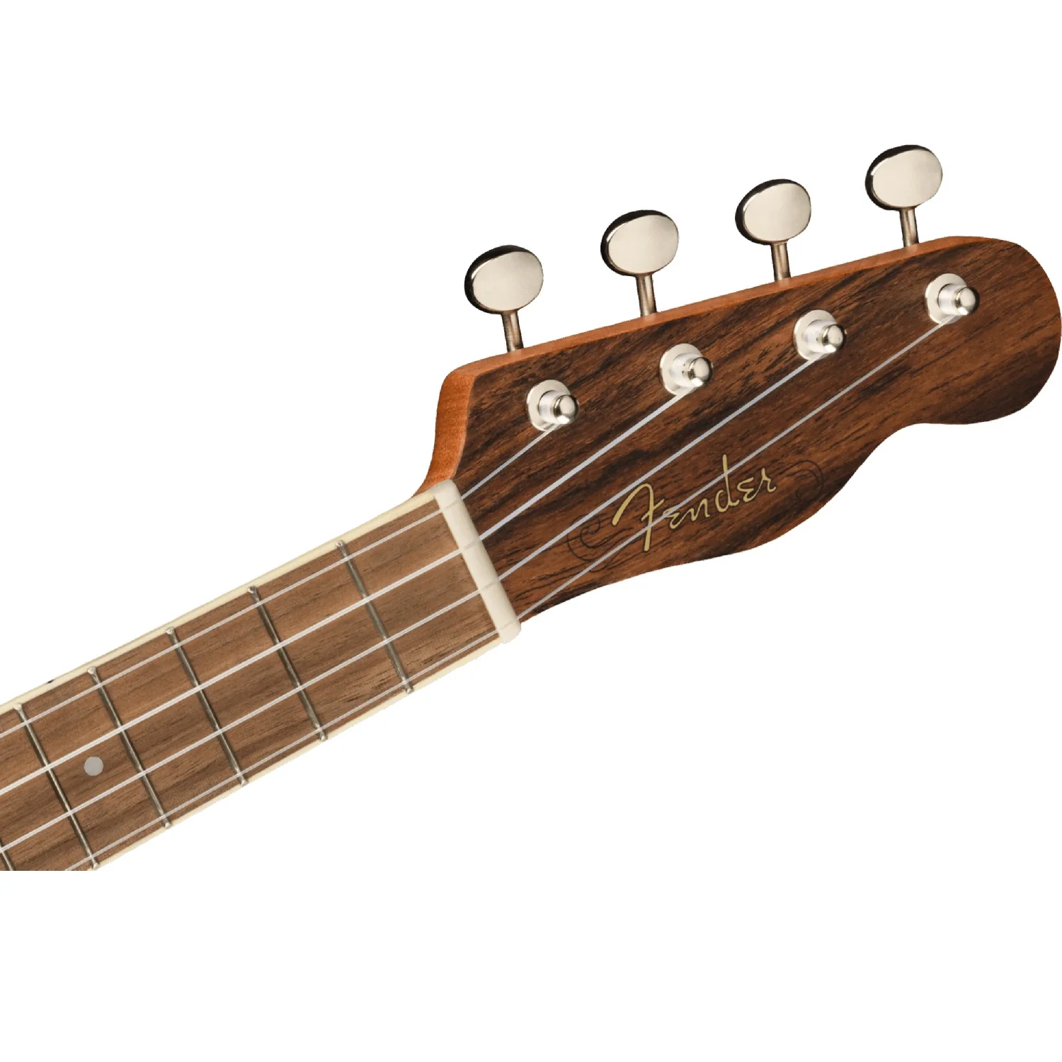 Fender Zuma Exotic Concert Ukulele - Image 6