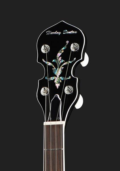 Harley Benton BJ-55Pro 5 String Banjo - Image 6