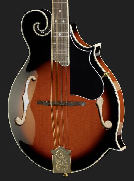 Harley Benton HBMA-100 VS - Image 4