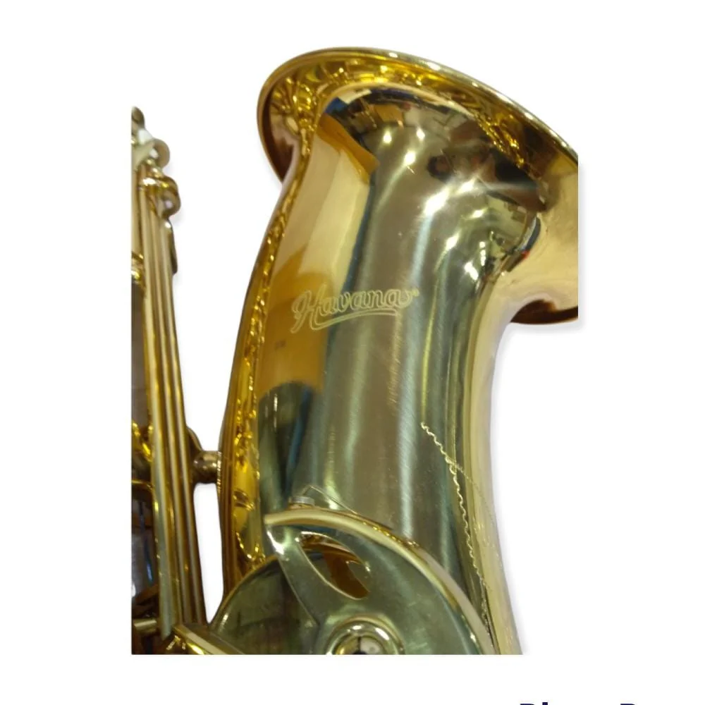 Havana M1106A Tenor Saxophone - Gold - Image 4