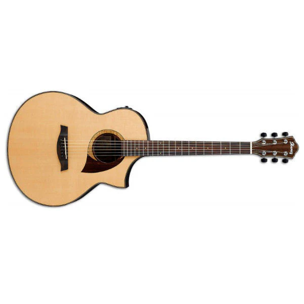 Ibanez AEW22CD Acoustic Electric Guitar