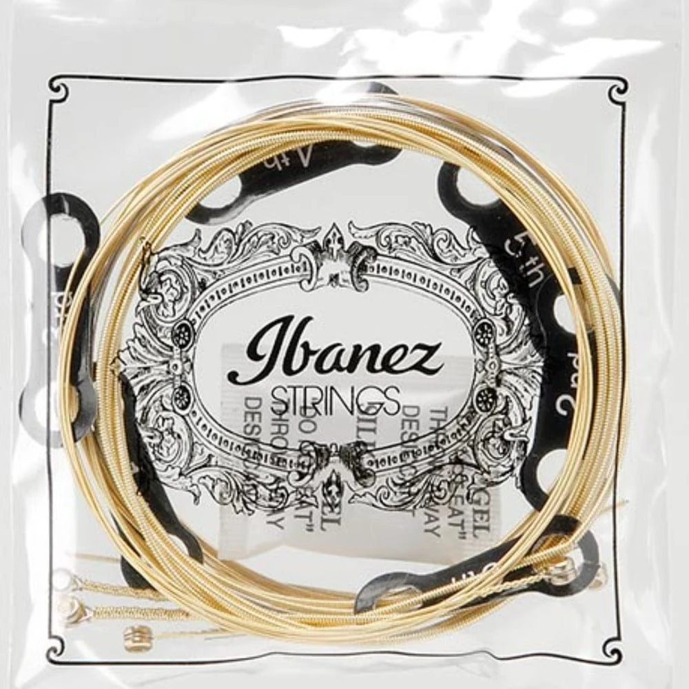 Ibanez IACS6C Acoustic Guitar Strings - 6 String, Light - Image 3