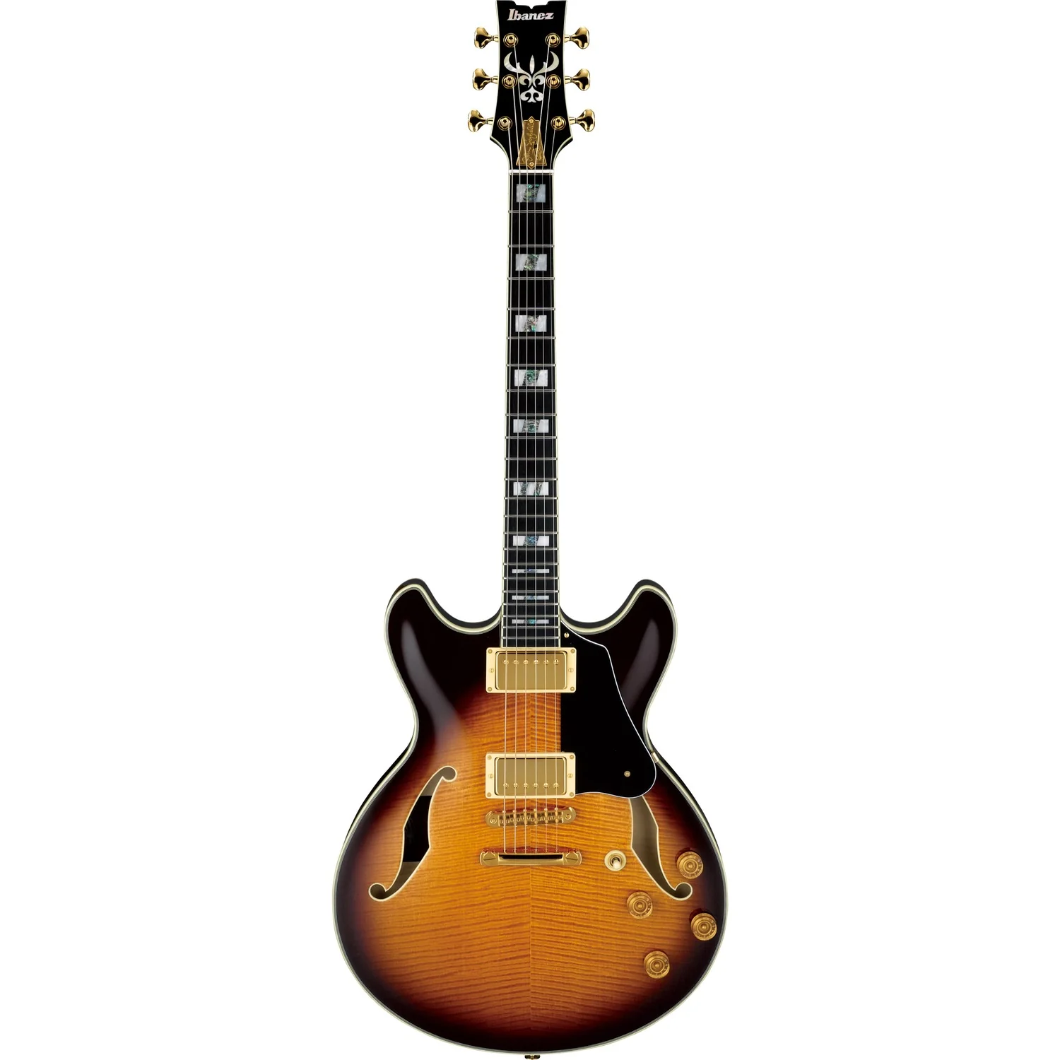 Ibanez JSM100 John Scofield Signature Hollow Body 6 String Electric Guitar