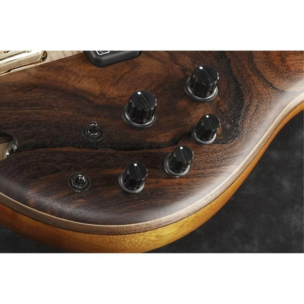 Ibanez SR655E-NNF Bass Electric Guitar- Natural Browned Burst Flat - Image 2