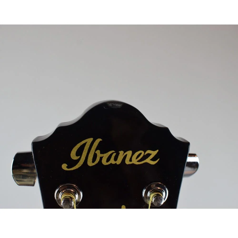 Ibanez V50NJP Acoustic Guitar Combo Pack - Open Box B Stock - Image 4