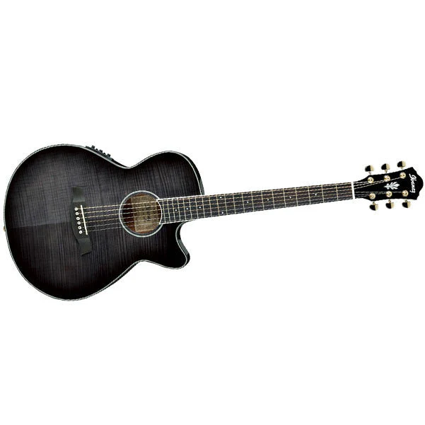 Ibanez AEG20E-TG Electro Acoustic Guitar