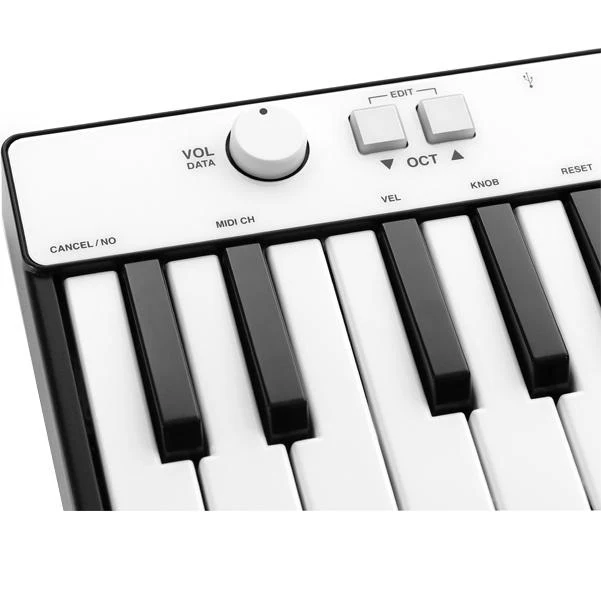 IK Multimedia iRig Keys Mini 25 key Universal Midi Keyboard - Image 2