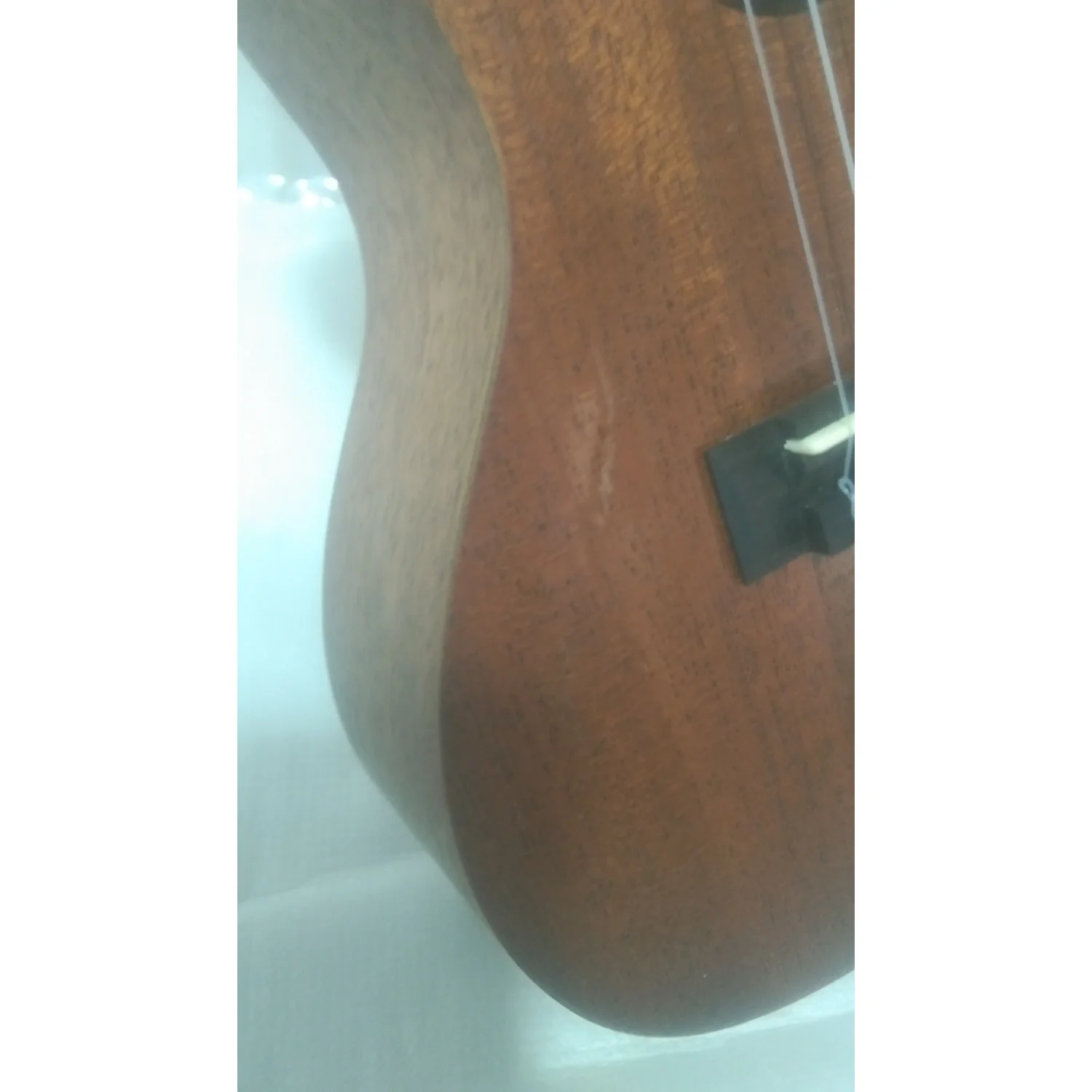 Kala Makala MK-C Concert Ukulele - Open Box B Stock - Image 3