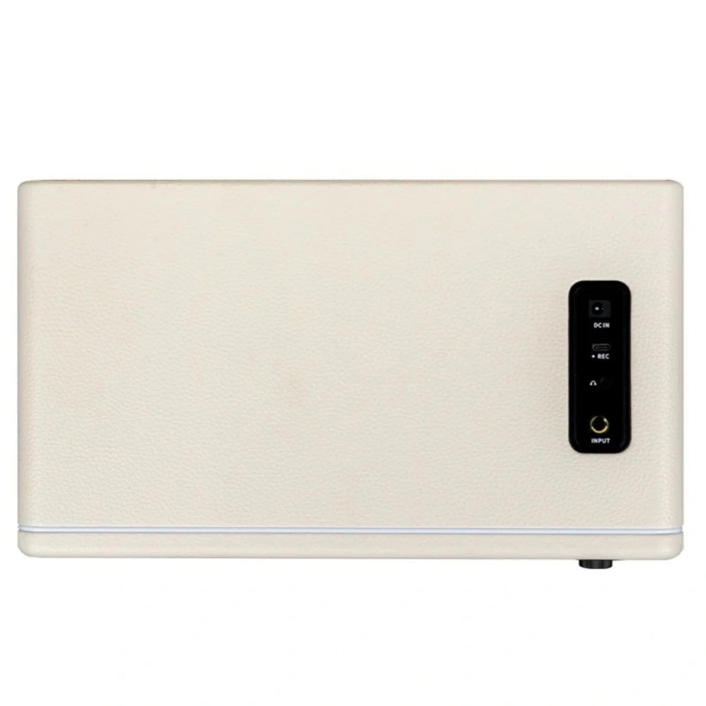 Mooer Hornet 30i Intelligent Amplifier - Image 10