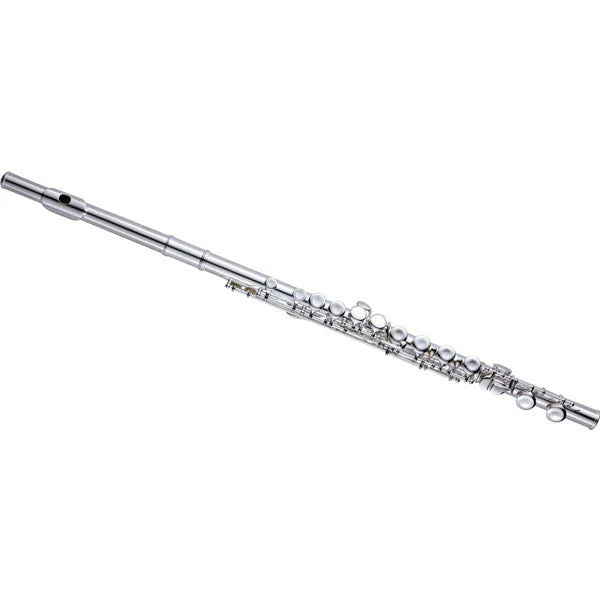 Nuova FL3ES student flute outfit