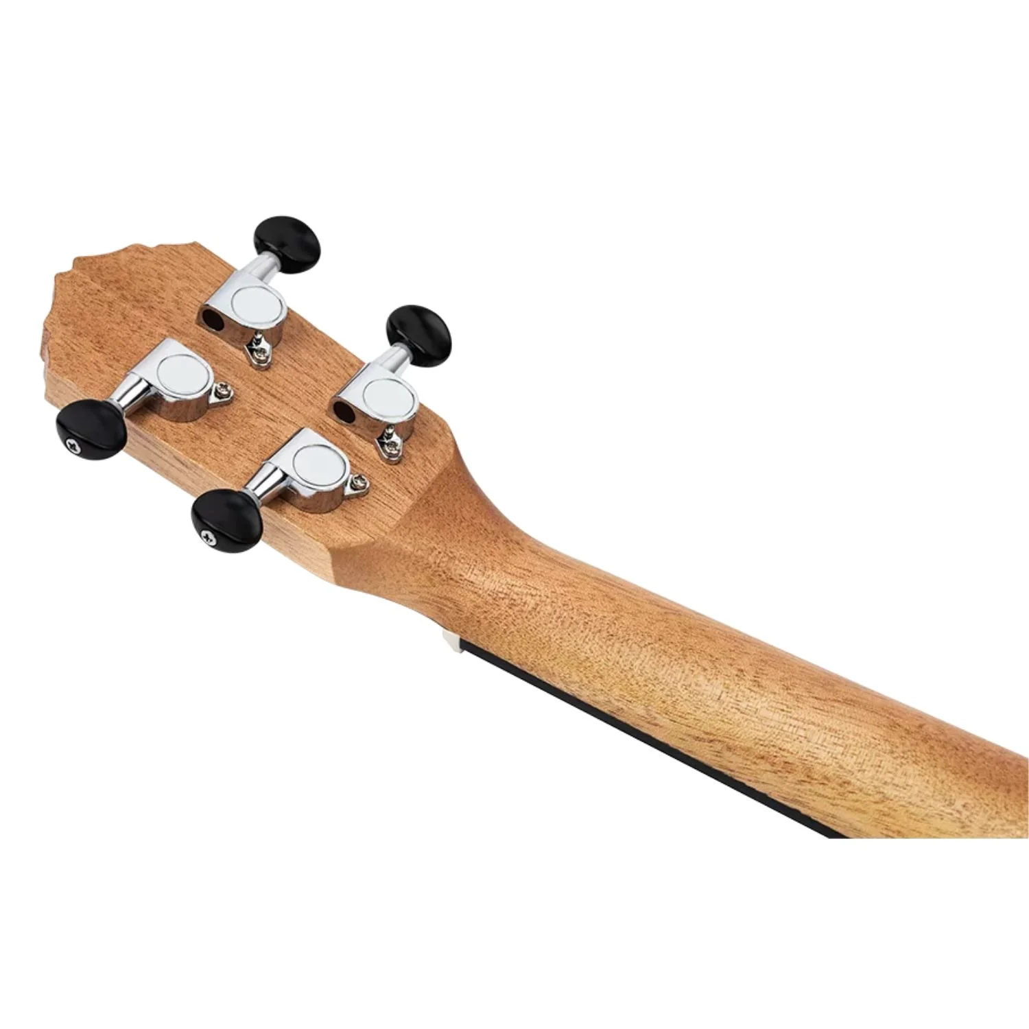Ortega RFU11Z Timber Series Concert Ukulele - Image 14