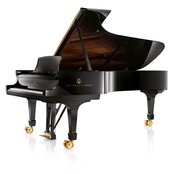 Pianoteq Steinway Model D: Legendary Concert Grand Piano – Professional Audio Software & Plugin - Image 4