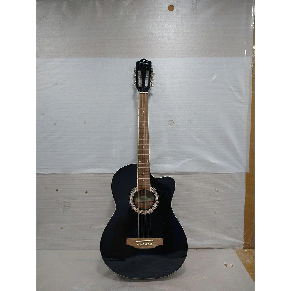 Pluto HW39C-201P Electro Acoustic Guitar - Open Box B Stock