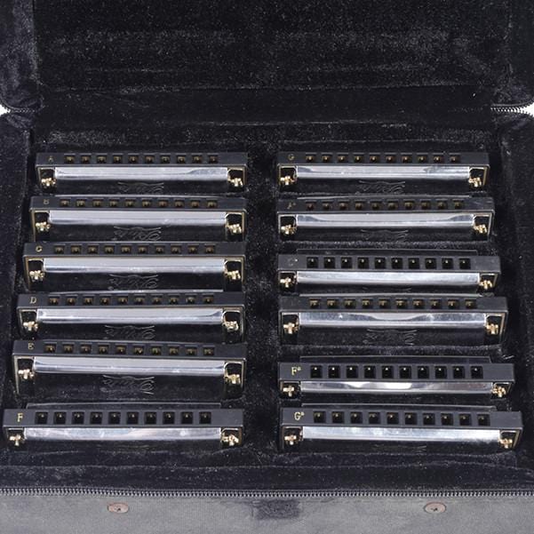 Pluto JH1020-12 Harmonica Set - Image 2