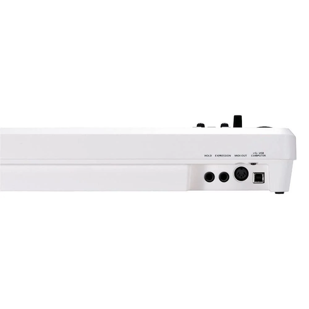 Roland A-49 MIDI Keyboard Controller - Image 8