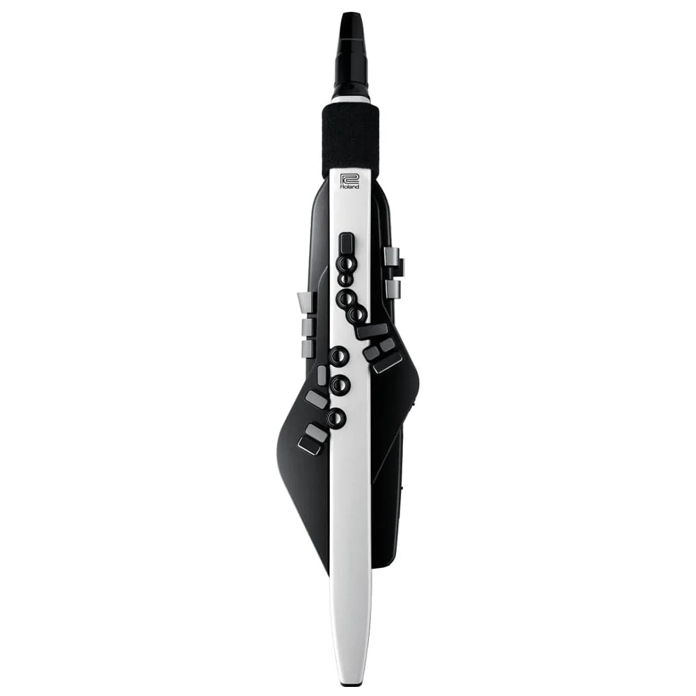 Roland Aerophone AE-20 Digital Wind Instrument - Image 2