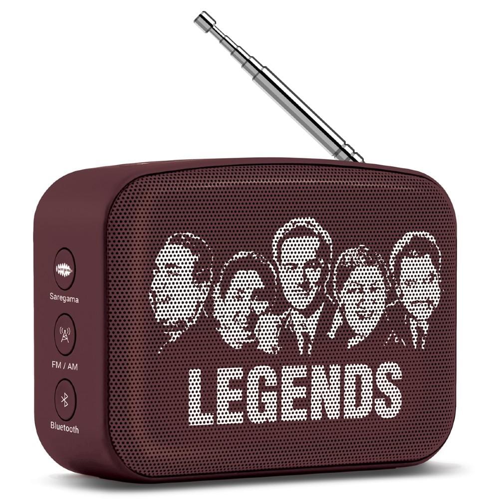 Saregama Carvaan Mini 2.0 Portable Music Player With Bluetooth/FM/AM/AUX - Image 25