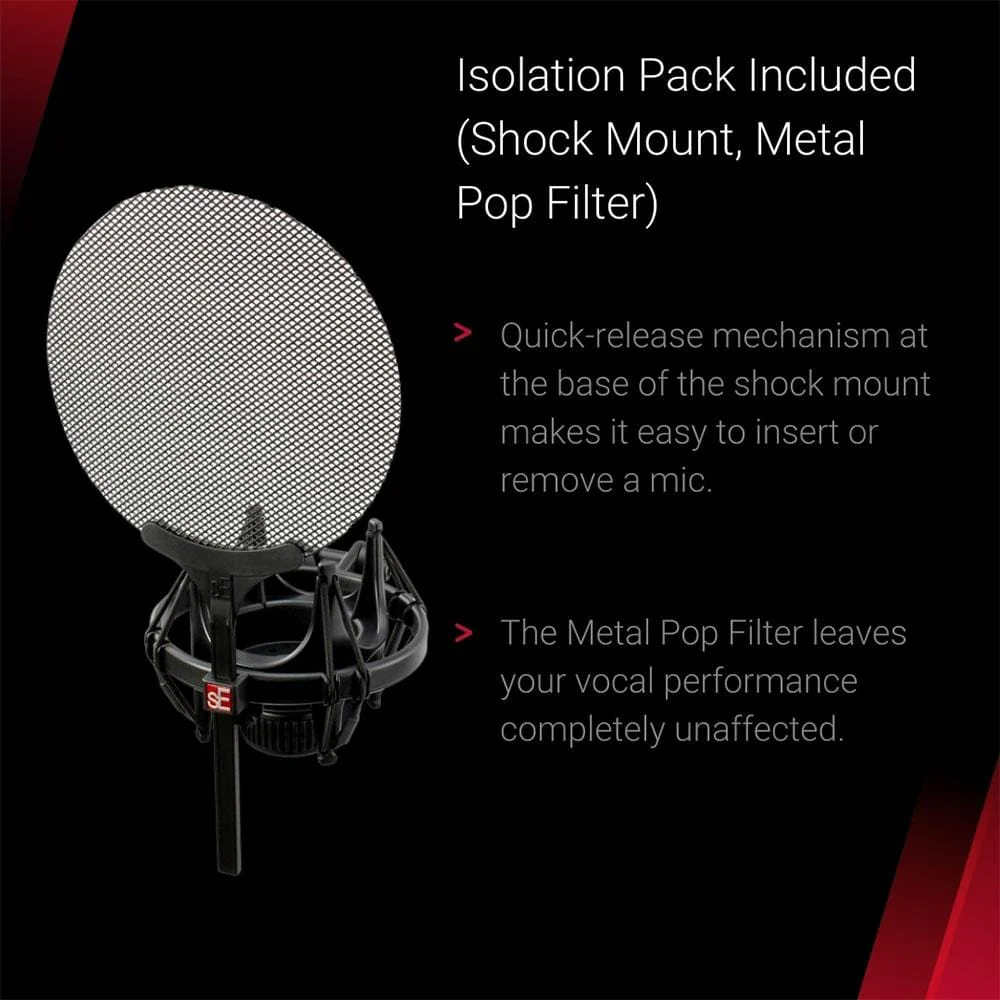 sE Electronics sE2200 Large Diaphragm Condenser Microphone - Image 11