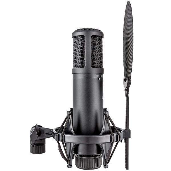 sE Electronics sE2200 Large Diaphragm Condenser Microphone - Image 3