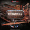 Soundiron Hopkin Instrumentarium: Chordophones - Image 2