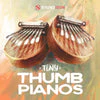 Soundiron Tiny Thumb Pianos - Image 2