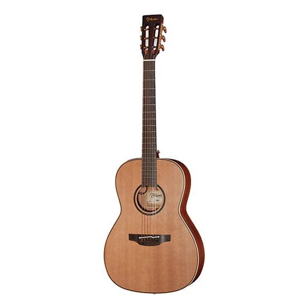 Takamine P3NY Dreadnought Classical Guitar - Natural Satin