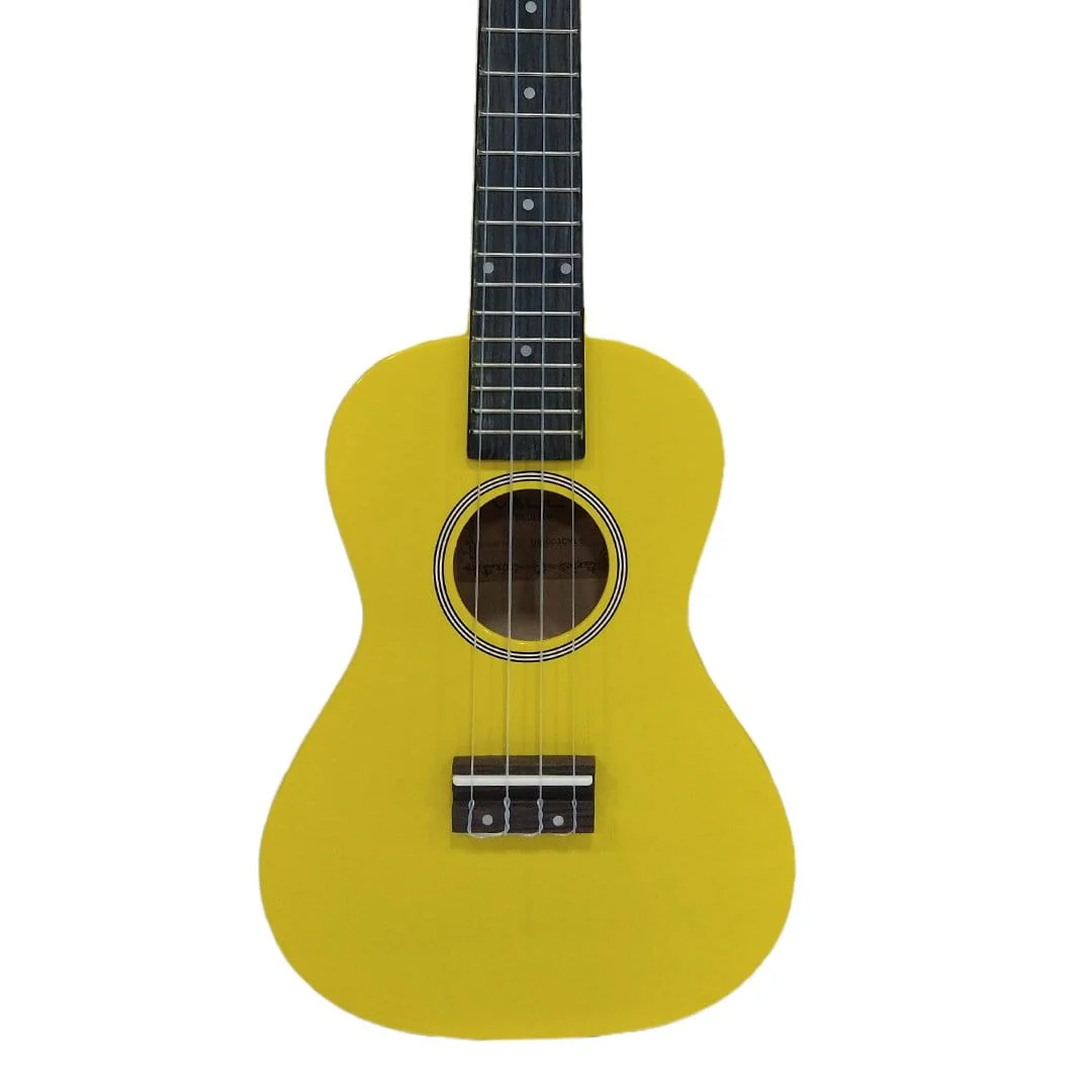 Vault UK-003 Concert Colourful Ukulele 23 inch With Gig Bag - Image 24