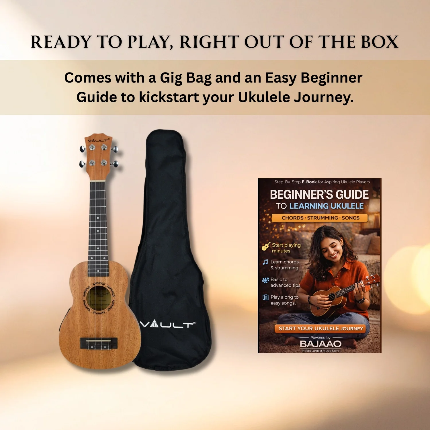 Vault UK-2000C 23-Inch Solid Mahogany Top Premium Concert Ukulele With Gigbag - Image 13