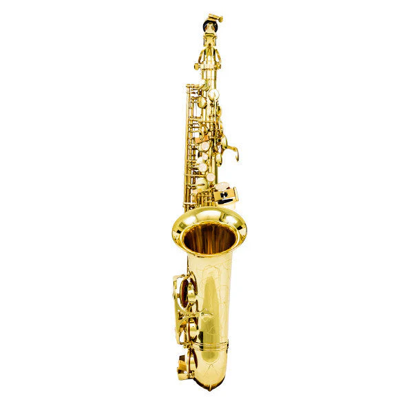 Vault XA1000 Eb Alto Saxophone - Lacquer