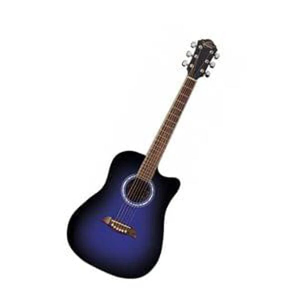 Washburn OD45CBLBPAK Dreadnought Acoustic Guitar - Image 2
